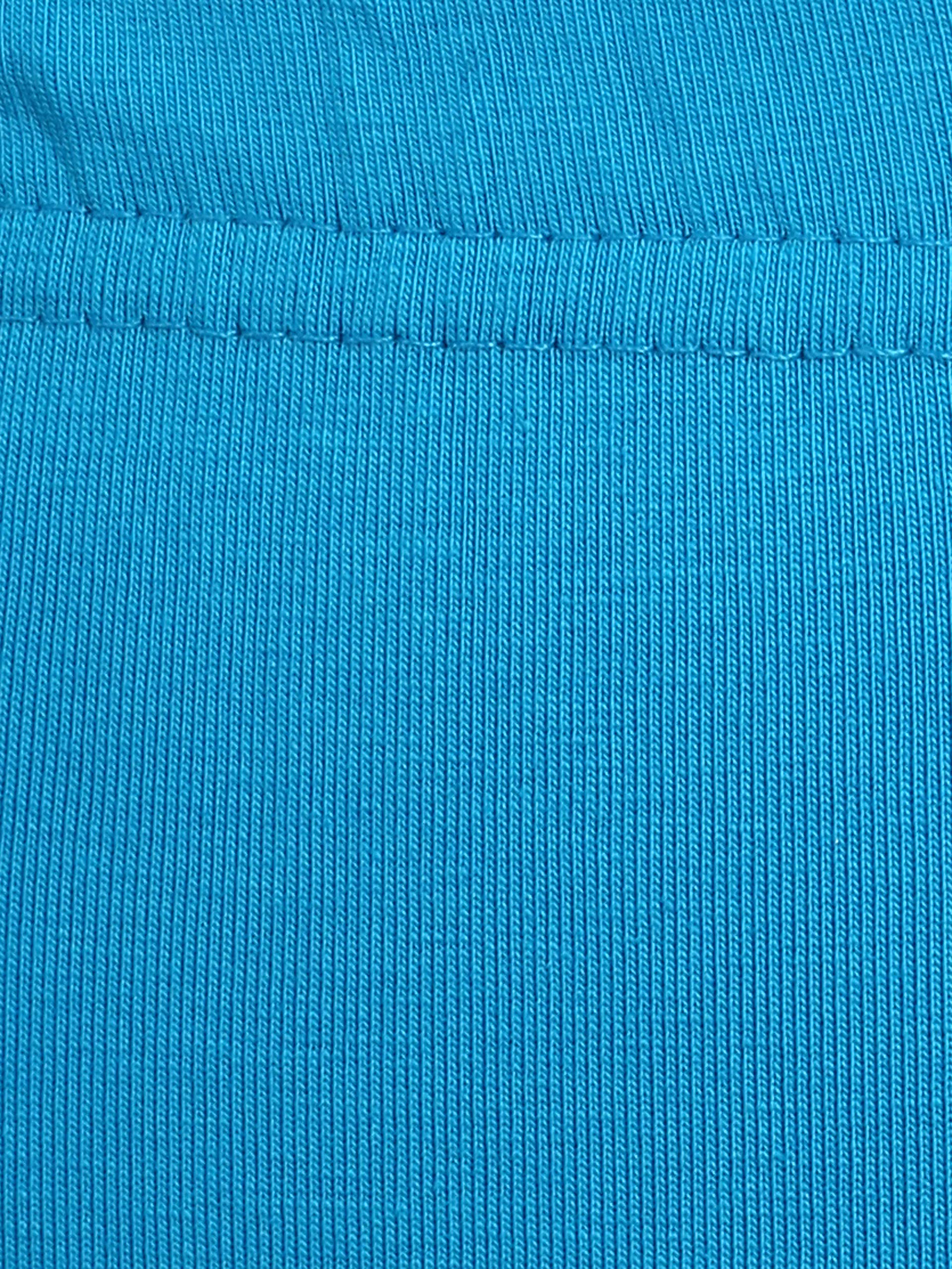 Color_Firozi