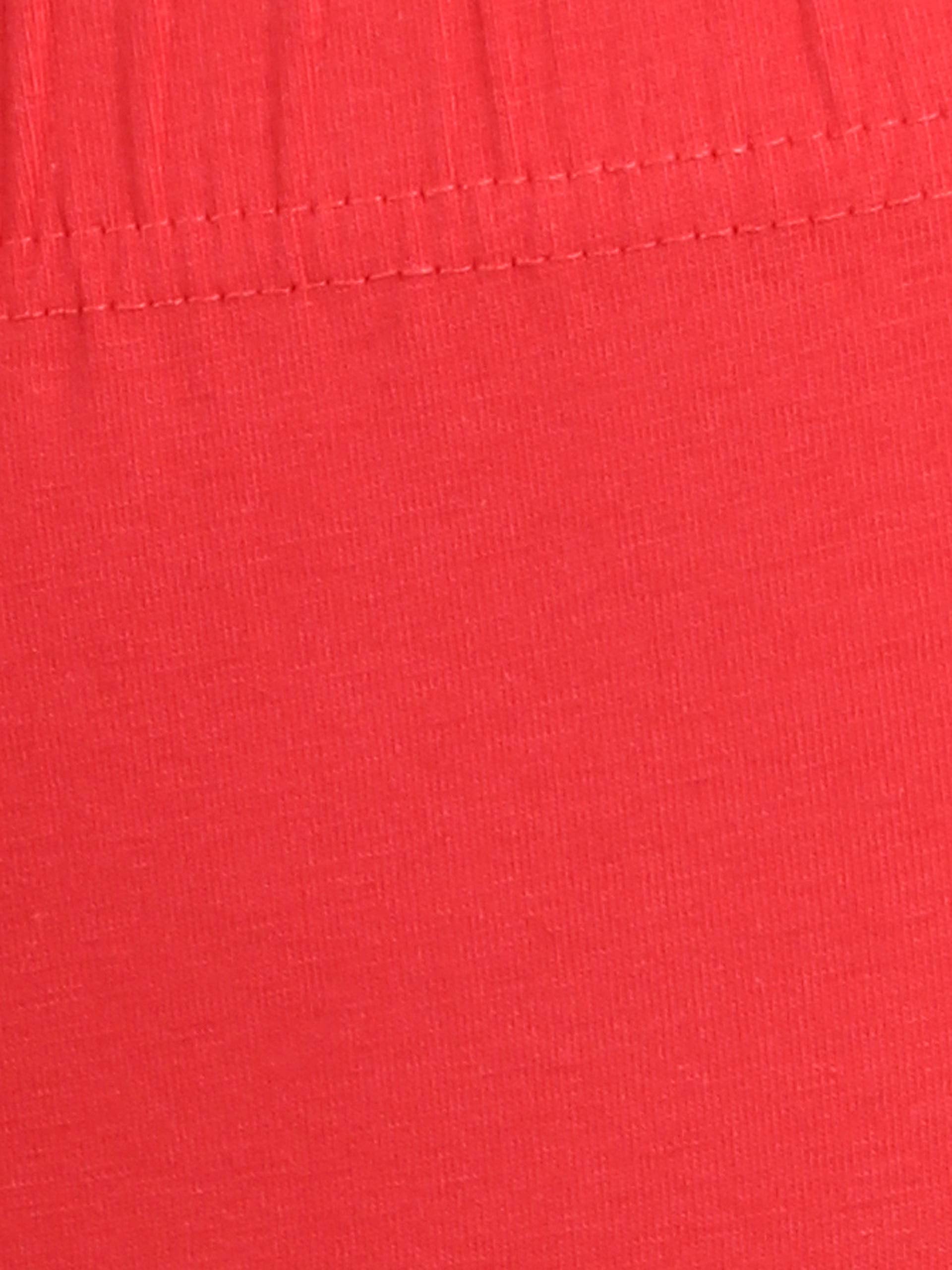 Color_Hibiscus