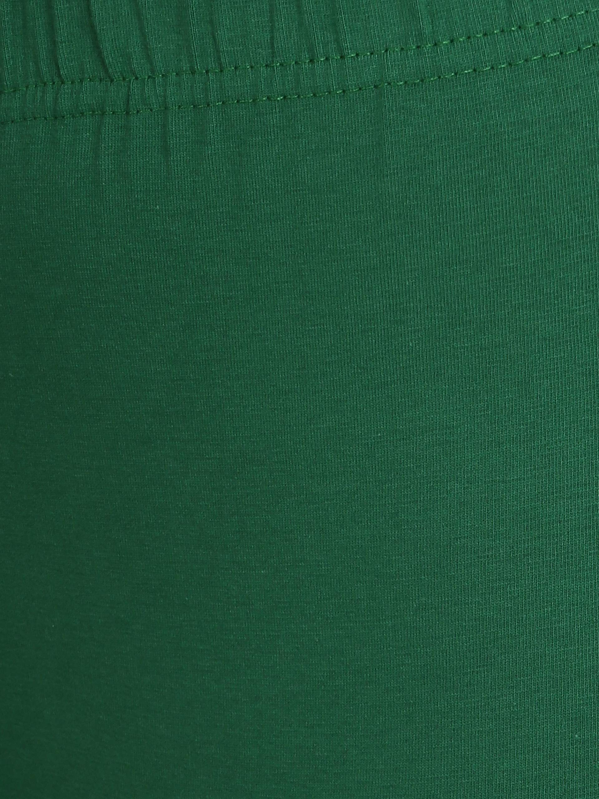 Color_Leaf Green